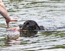 20160820-wwd-0083