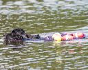 20160820-wwd-0095