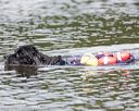 20160820-wwd-0098