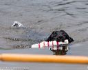 20160821-awd-0023