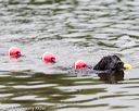 20160821-awd-0058