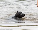 20160821-awd-0169