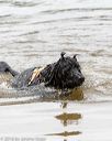 20160821-awd-0170