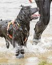 20160821-awd-0184