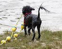 20160821-cwd-0022