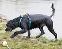 20160821-cwd-0049