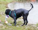 20160821-cwd-0053