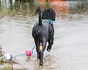 20160821-cwd-0054