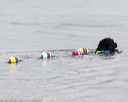 20160821-cwd-0057