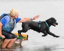 20160821-cwd-0062
