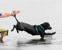 20160821-cwd-0064