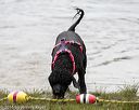 20160821-cwd-0160