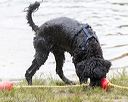 20160821-cwd-0191
