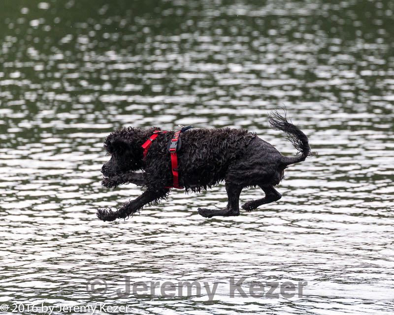 20160821-cwd-0010.jpg