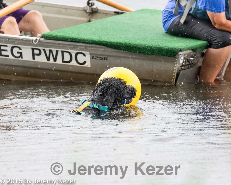 20160821-cwd-0089.jpg