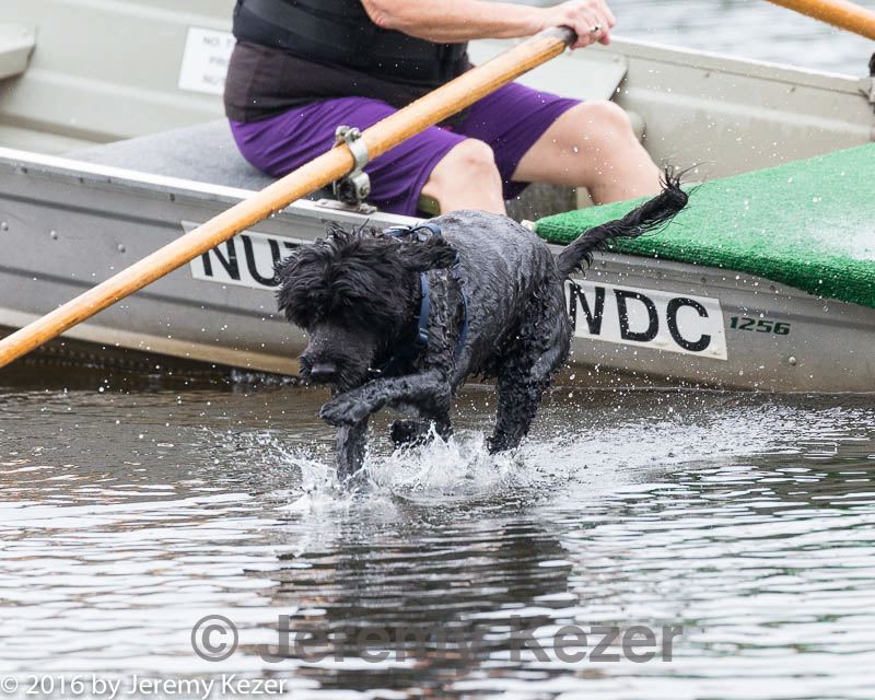 20160821-cwd-0181.jpg