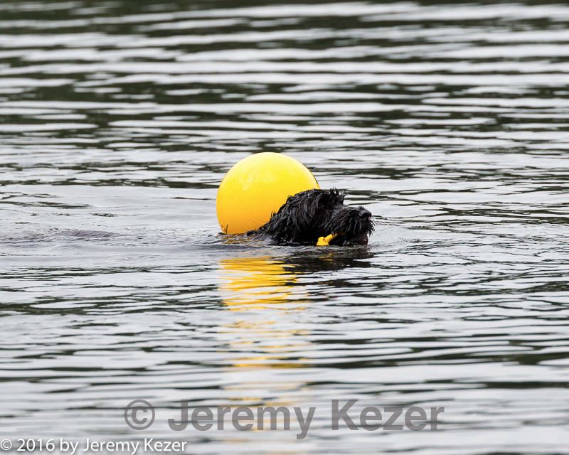 20160821-cwd-0231.jpg