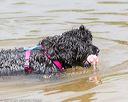 20160821-jwd-0012