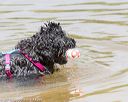 20160821-jwd-0014
