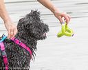 20160821-jwd-0019