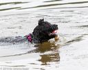 20160821-jwd-0043