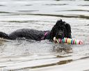 20160821-jwd-0072