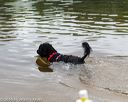 20160821-jwd-0222