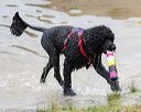 20160821-jwd-0237