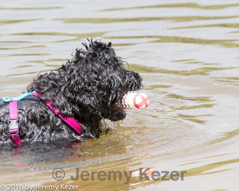 20160821-jwd-0014.jpg