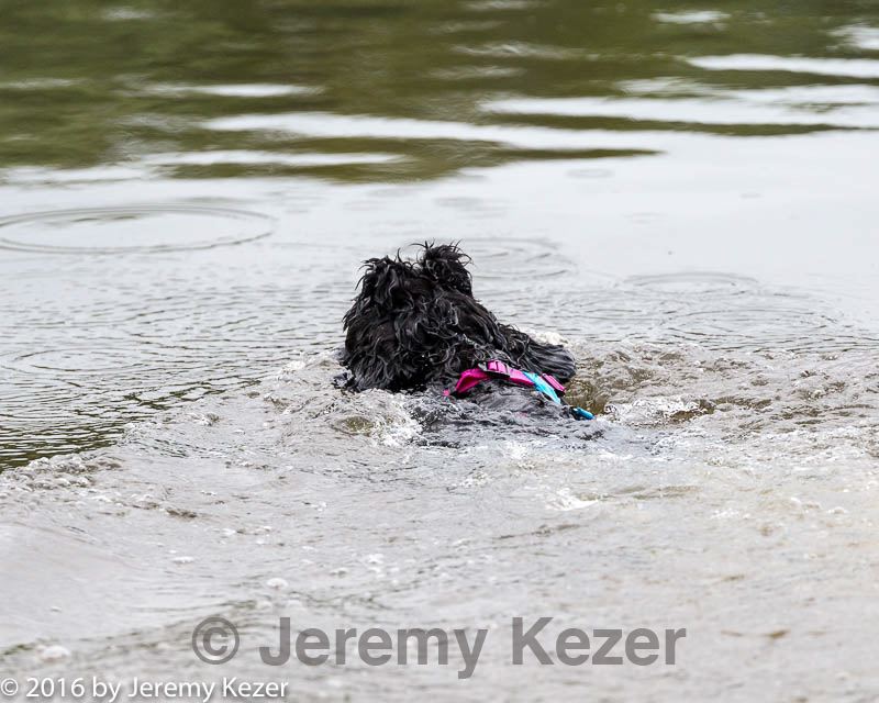 20160821-jwd-0036.jpg