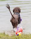 20160821-v-0027