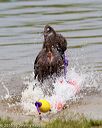 20160821-v-0031