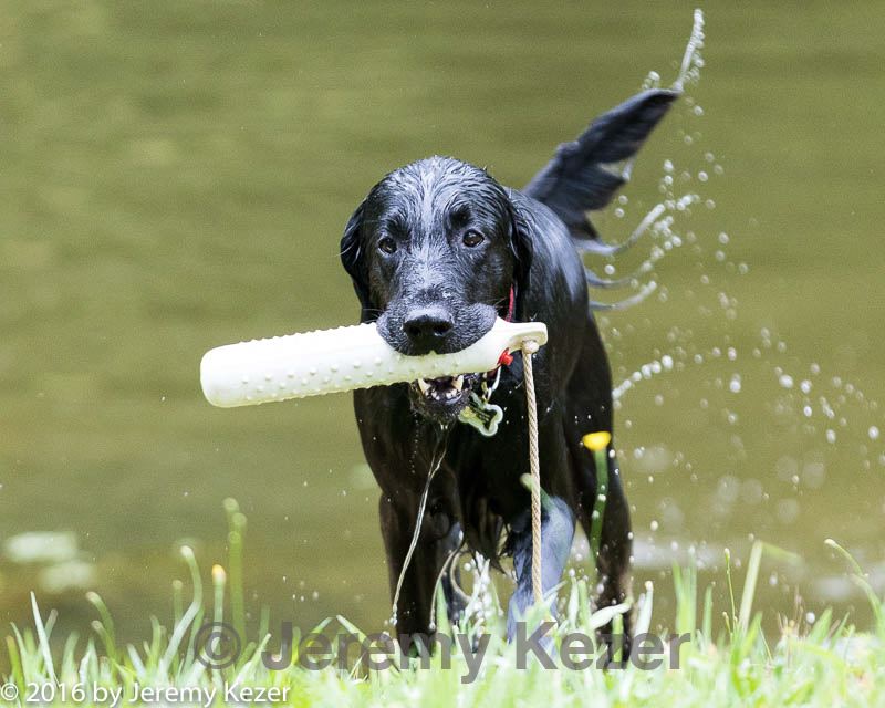 20160911-0029.jpg