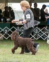 20161001-0426