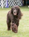 20161001-0487