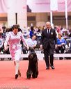 20161216-rc-0284