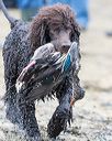 20170425-wcxw-0091