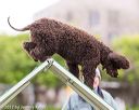 20170426-ag-0627