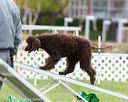 20170426-ag-0636