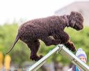 20170426-ag-0592