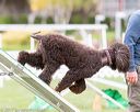 20170426-ag-0601