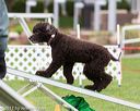 20170426-ag-0604