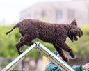 20170426-ag-0959