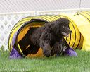 20170426-ag-0868