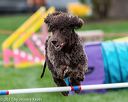 20170426-ag-0724