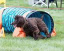 20170426-ag-0730