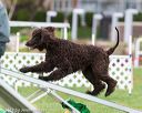 20170426-ag-0734