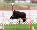 20170426-ag-0737