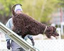 20170426-ag-0759