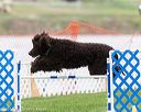20170426-ag-0774
